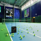 2018 Hote Sale Tennis Plastic Sports Flooring with Grass Pattern