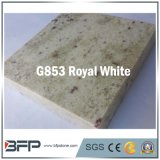 White Granite Tile for Floor Wall Kitchen & Vanity Counter Top