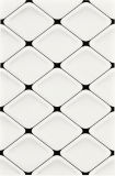 Glazed Ceramic Wall Tiles (W32019)