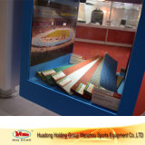 Iaaf Approved Prefabricated Rubber Runway Track Flooring for Sports