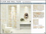 3D Inkjet Floor and Wall Ceramic Tile (VWD36C607, 300X600mm)