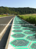 Solar Brick for Zebra Crossing& Square&Trail