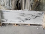Black/White/Grey Marble Tile/Slab/Stairs/Skirting/Countertop for Bathroom/Kitchen/Wall/Floor
