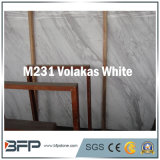 Marble /Granite Big Stone Slab for Step of Building Material