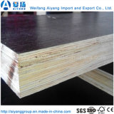 High Density Film Faced Plywood/Truck Floor/Container Floor