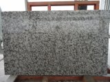 G439 Big Flower White / Granite Slab for Wall&Floor