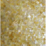 Yellow Lip Mop Shell 23mm Hexagan Mosaic Tile