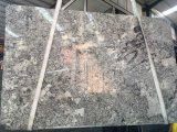 Alaska White Granite Slab for Kitchen/Bathroom/Wall/Floor