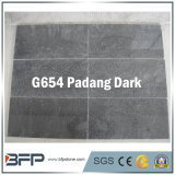 Black/Dark Grey Polished Granite Floor and Wall Cladding Tile