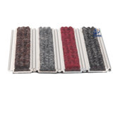Outdoor Aluminum Entrance Matting Systems and Carpets
