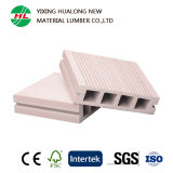 Hollow WPC Wood Plastic Composite Outdoor Flooring (M53)