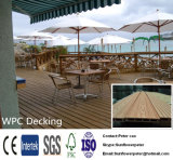 Natural Type Easy Installation Outdoor WPC Flooring Wood Plastic Patio Planks Wood Stairs