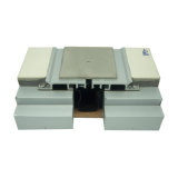 Heavy Duty Metal Expansion Joint for Parking
