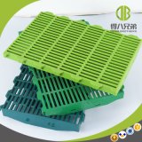 Good Quality Competitive Price for Pig Farm Plastic Floor