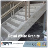 Royal White Granite for Step and Riser in Home Dcoration