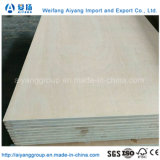21/19 Plies Container Plywood Flooring in Stock