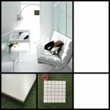 European Concept Building Material Polished Ceramic Floor & Wall Tile (WH1200P)