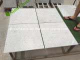 Wholesale Floor Arabescato Calacatta Gold Statuario Carrara White Marble Tile