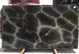 Turtle Illusion / Brazil High Quality Green Quartzite Tiles & Slabs