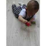 New Color 12.3 mm Laminate Wood Flooring for Household
