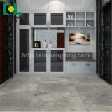 Vinyl Floor PVC Floor Plastic Floor for Sale, ISO9001 Changlong Cls-35