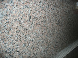 Granite Slab Polished G563 Granite Stone Tiles for Sale