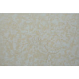 10mm Ceramic Tile/200X300mm Wall Tile/Samples Vitrified Tiles