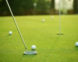 Nylon Golf Green Grass Flooring