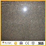 Polished Tropic Brown Granite Slabs for Countertop or Flooring Tiles