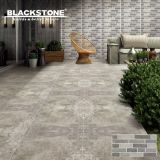 300X600mm New Product Rustic Porcelain Tile for External Wall (36063)