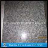 Polished Ice Blue Granite Tiles for Interior and External Decoration