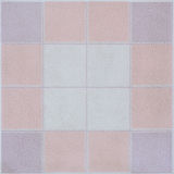 Glazed Ceramic Floor Tiles (3009)
