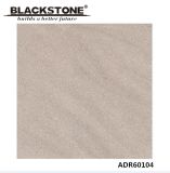 Popular Building Material 600X600mm Rustic Porcelain Flooring Tile (ADR60104)