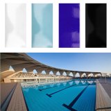 240X115mm Low Absorption Swimming Pool Porcelain Tile (B1152)