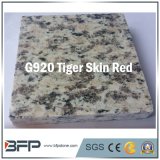 China Granite Natural Stone Floor Tile, Slab, Stair, Wall, Countertops