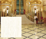 Kajaria Ceramic Floor Tile in White