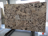 Crema Delicatus Granite Slab for Building Material Decoration
