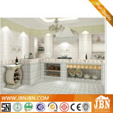 3D Inkjet Glazed Bathroom Ceramic Wall Tile (BW1-30022B)