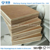 Top Quality Apitong or Keruing 19 Plies 28mm Plywood for Container Flooring