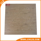 600*600 mm Ink-Jet Rustic Kitchen Ceramic Floor Tile