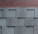 Roof Tiles Export to Britain, Malaysia, Africa, Brazil