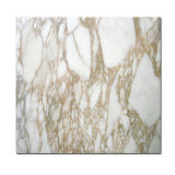 Direct Factory Calacatta Gold Marble, Calacatta White Marble