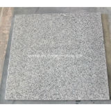 Wholesale Natural Grey Granite Tiles for Floor and Wall
