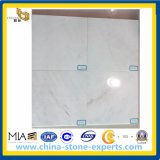 Castro White (Glorious White) Marble Tiles for Floor and Wall