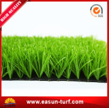 PE Monofilament Artificial Grass for Football Stadium