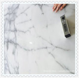 Italy High Quality White Calacatta Marble Slab for Tile