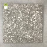 Construction Rustic Floor and Wall Tile Terrazzo Tile (TER604)