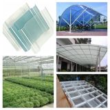 Skylight, Canopy, Greenhouse Translucent PVC Roof Tile