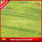 PP Yarn 8mm Pile Height Artificial Grass for Leisure