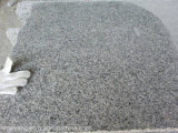 G603 Granite Stone Tiles for Wall, Flooring